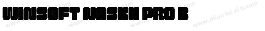 WinSoft Naskh Pro B字体转换